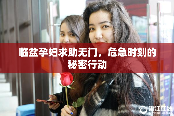 临盆孕妇求助无门，危急时刻的秘密行动
