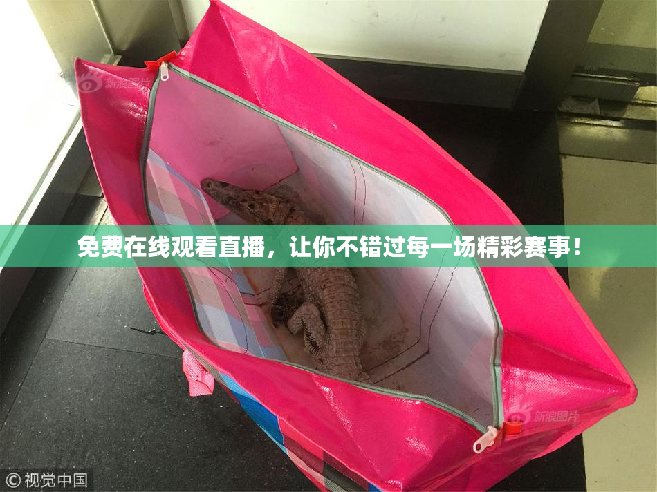 免费在线观看直播，让你不错过每一场精彩赛事！