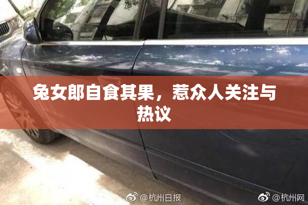 兔女郎自食其果，惹众人关注与热议