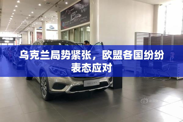 乌克兰局势紧张，欧盟各国纷纷表态应对