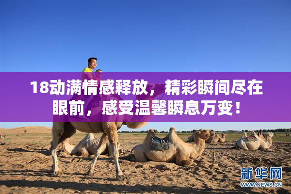 18动满情感释放，精彩瞬间尽在眼前，感受温馨瞬息万变！