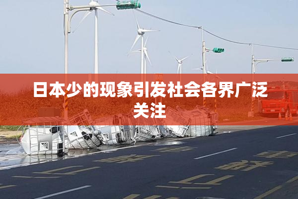 日本少的现象引发社会各界广泛关注