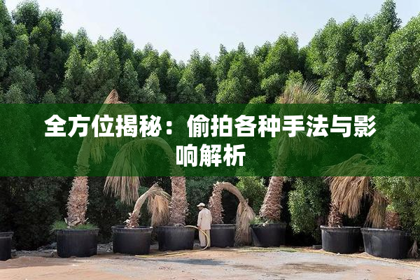 全方位揭秘：偷拍各种手法与影响解析