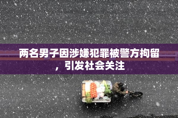 两名男子因涉嫌犯罪被警方拘留，引发社会关注