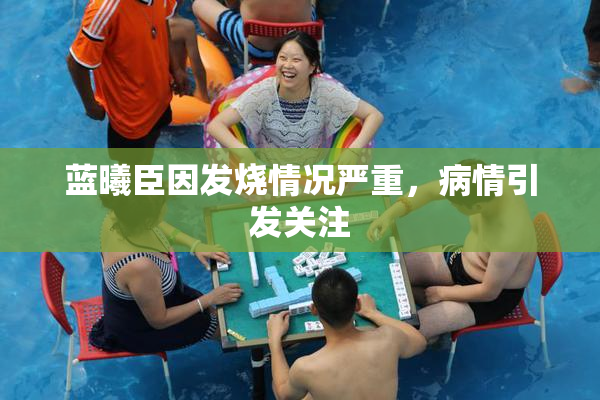 蓝曦臣因发烧情况严重，病情引发关注