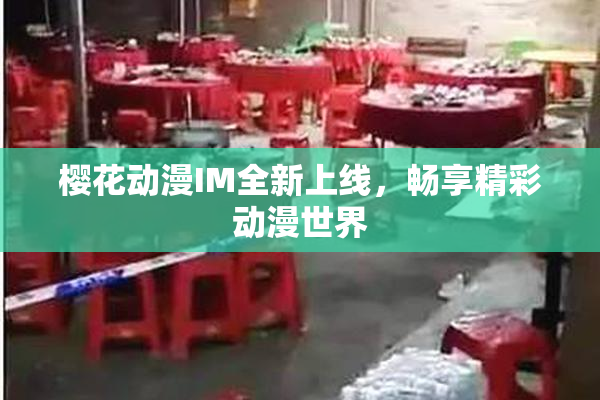 樱花动漫IM全新上线，畅享精彩动漫世界
