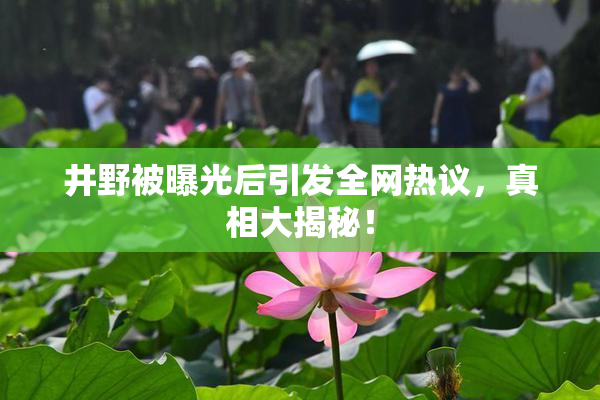 井野被曝光后引发全网热议，真相大揭秘！