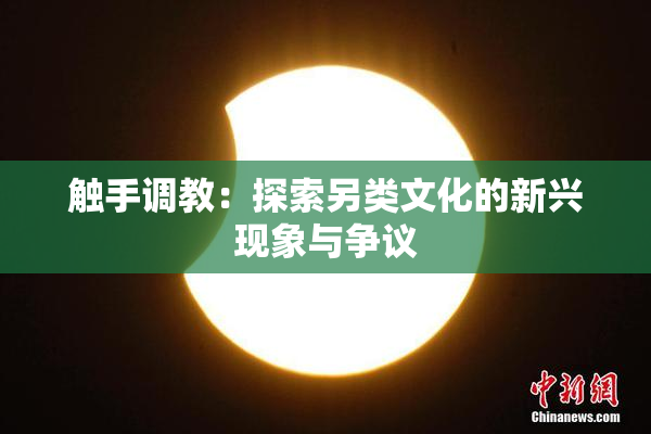 触手调教：探索另类文化的新兴现象与争议