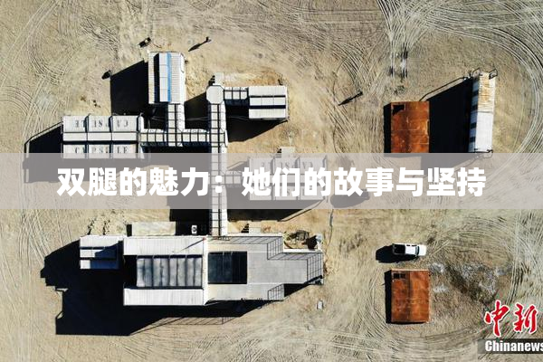 双腿的魅力：她们的故事与坚持