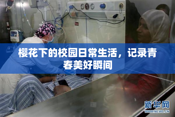 樱花下的校园日常生活，记录青春美好瞬间