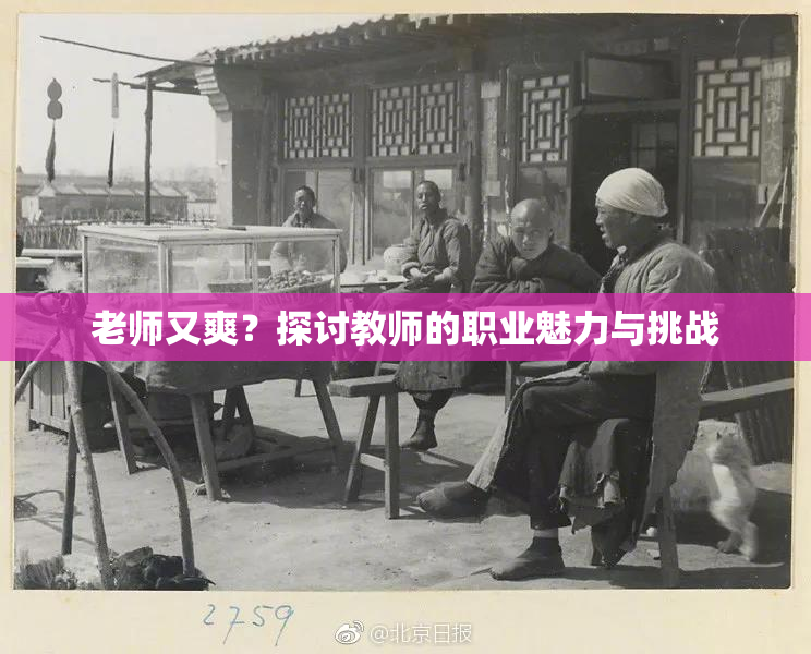 老师又爽？探讨教师的职业魅力与挑战