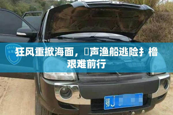 狂风重掀海面，喿声渔船逃险扌橹艰难前行