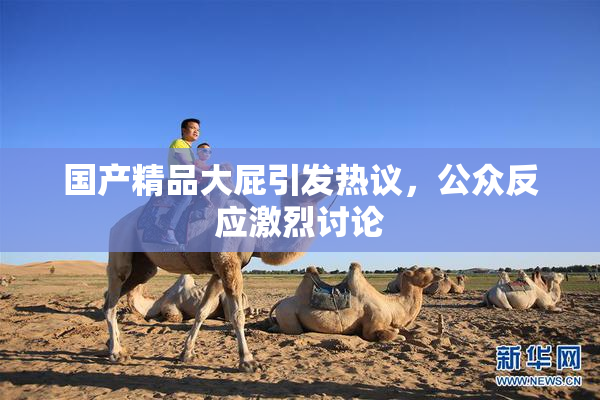 国产精品大屁引发热议，公众反应激烈讨论