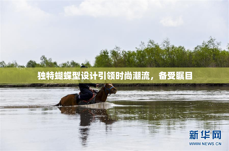 独特蝴蝶型设计引领时尚潮流，备受瞩目