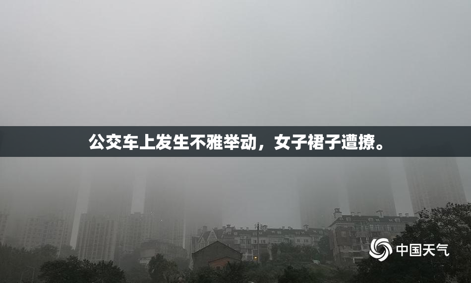 公交车上发生不雅举动，女子裙子遭撩。