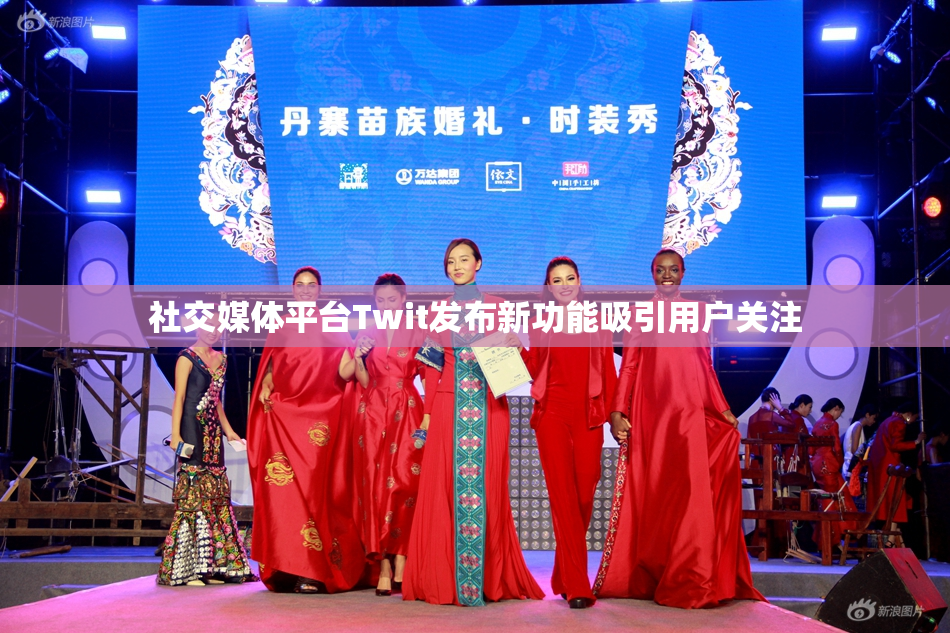 社交媒体平台Twit发布新功能吸引用户关注