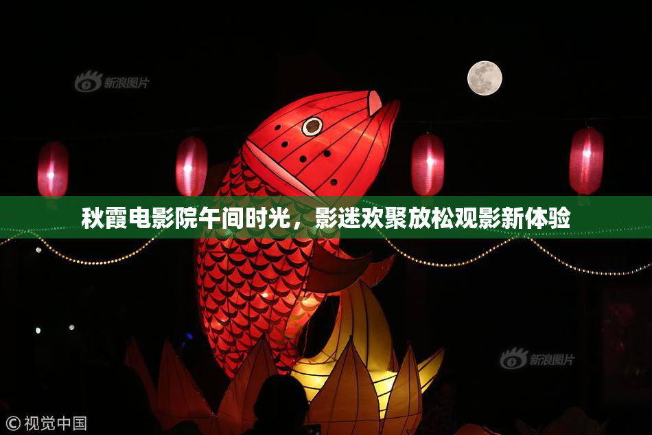 秋霞电影院午间时光，影迷欢聚放松观影新体验