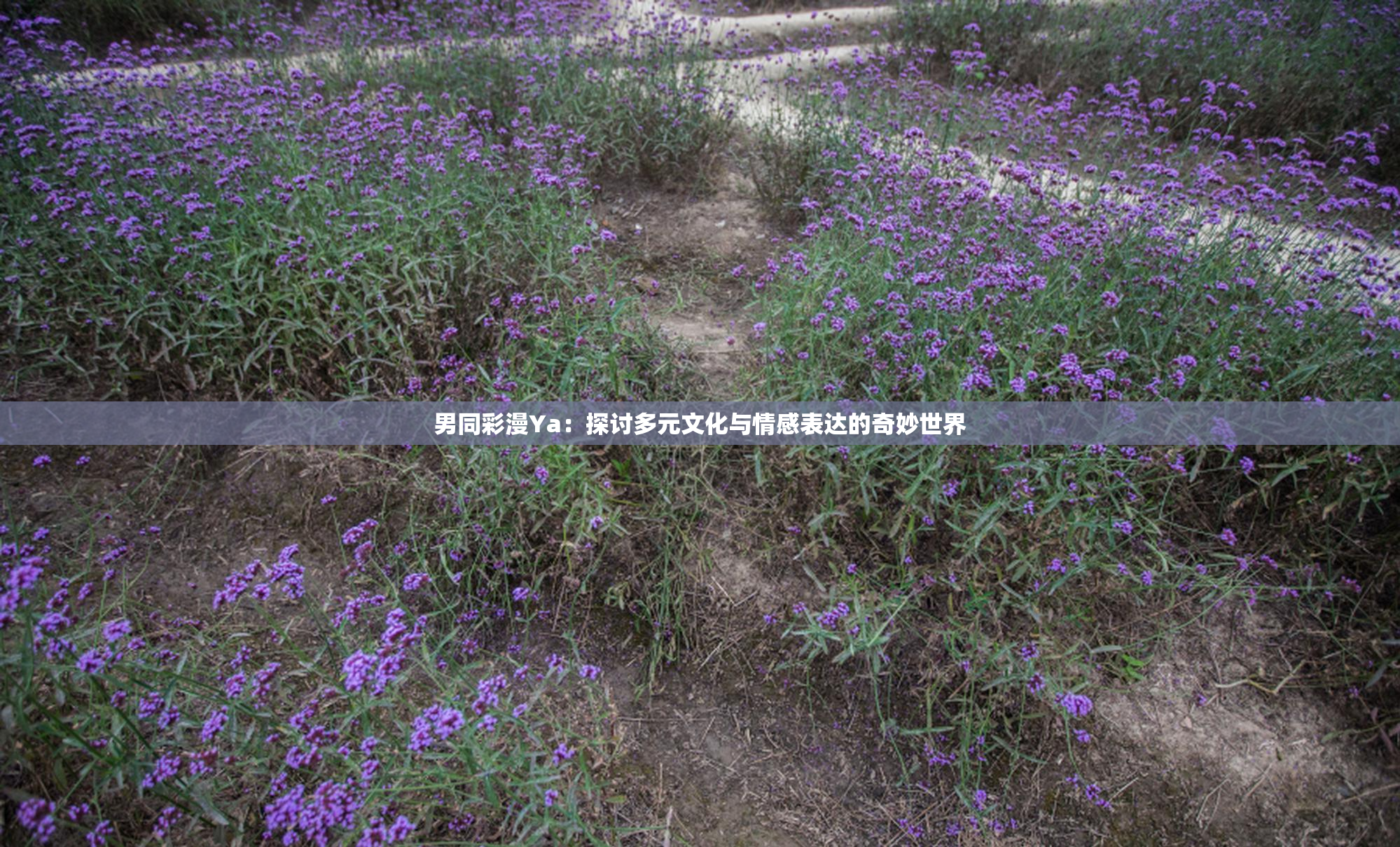 男同彩漫Ya：探讨多元文化与情感表达的奇妙世界
