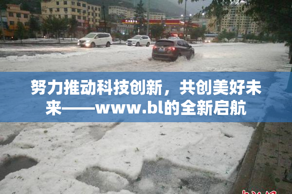 努力推动科技创新，共创美好未来——www.bl的全新启航