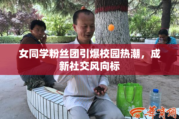 女同学粉丝团引爆校园热潮，成新社交风向标