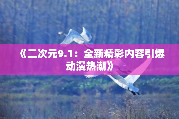 《二次元9.1：全新精彩内容引爆动漫热潮》