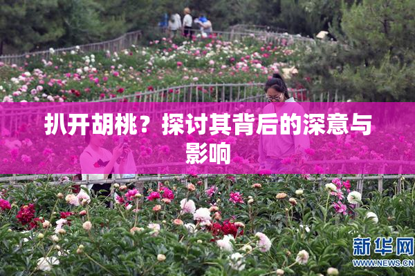 扒开胡桃？探讨其背后的深意与影响