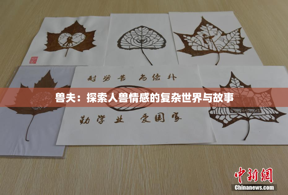 兽夫：探索人兽情感的复杂世界与故事