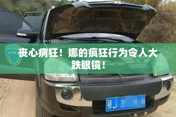 丧心病狂！娜的疯狂行为令人大跌眼镜！