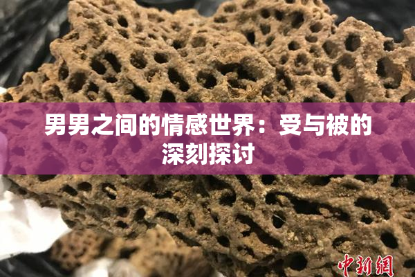 男男之间的情感世界：受与被的深刻探讨