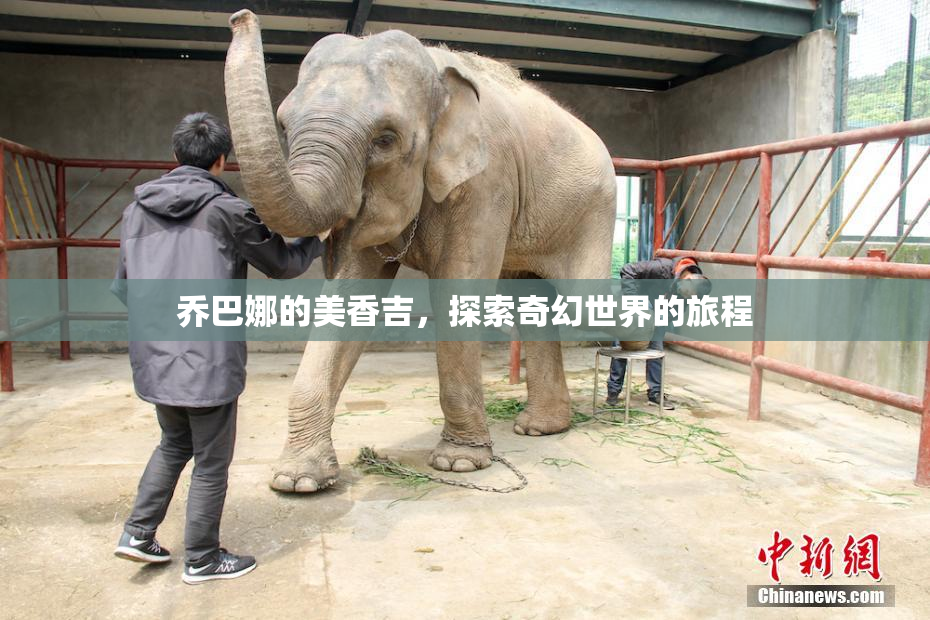 乔巴娜的美香吉，探索奇幻世界的旅程
