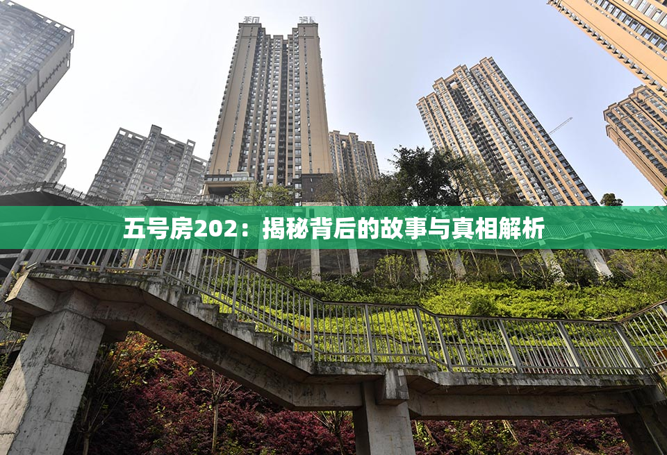 五号房202：揭秘背后的故事与真相解析