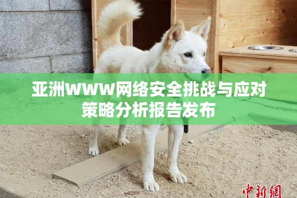 亚洲WWW网络安全挑战与应对策略分析报告发布