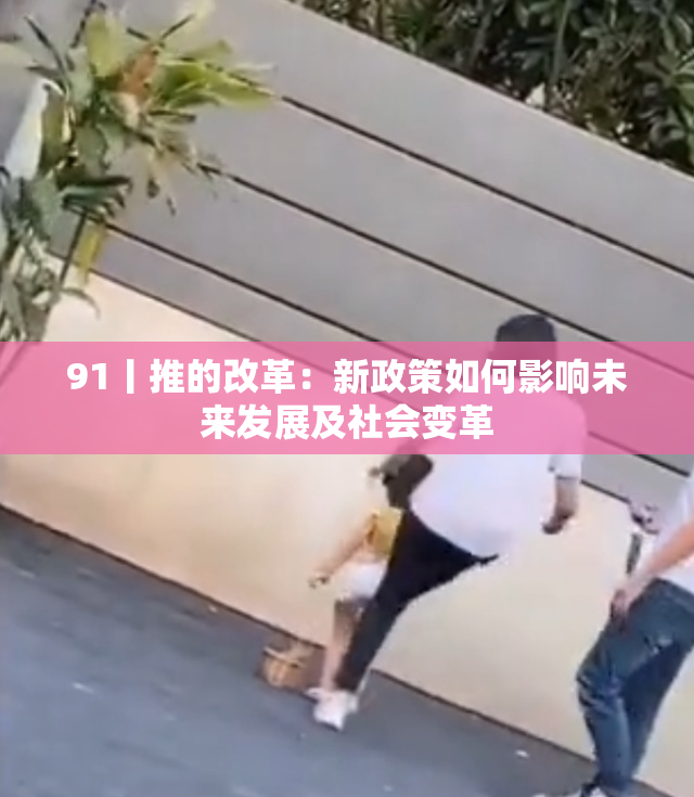91丨推的改革：新政策如何影响未来发展及社会变革