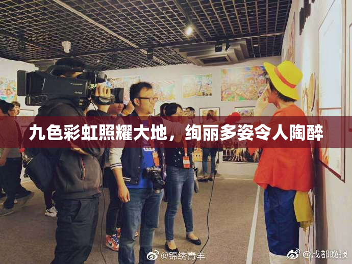 九色彩虹照耀大地，绚丽多姿令人陶醉