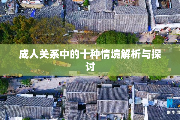 成人关系中的十种情境解析与探讨