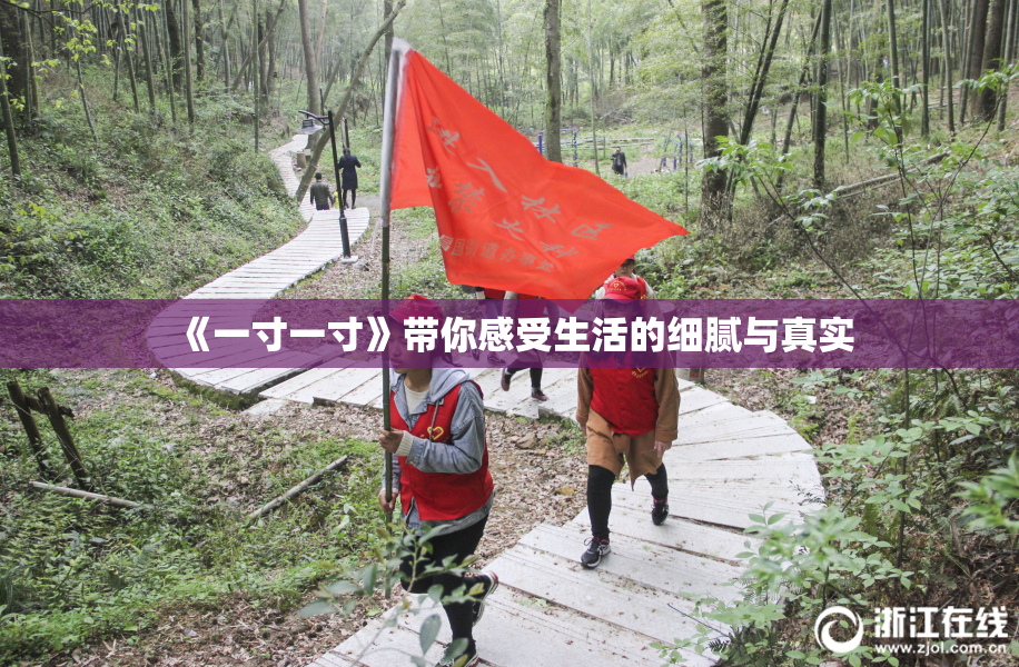 《一寸一寸》带你感受生活的细腻与真实