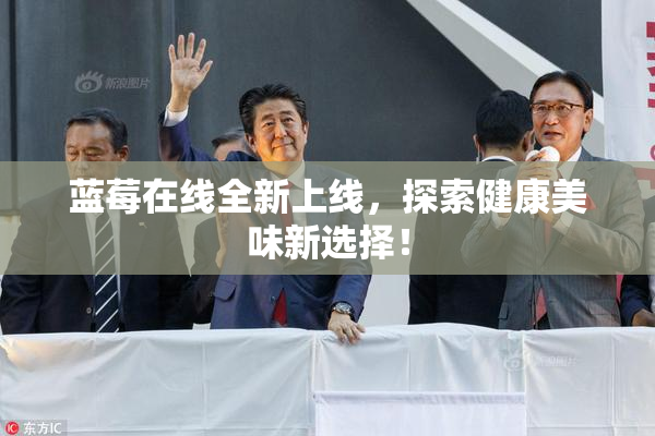 蓝莓在线全新上线，探索健康美味新选择！