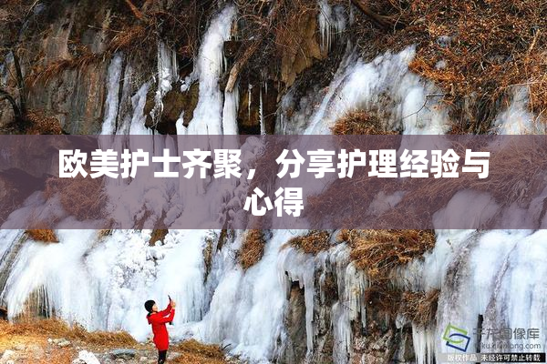 欧美护士齐聚，分享护理经验与心得