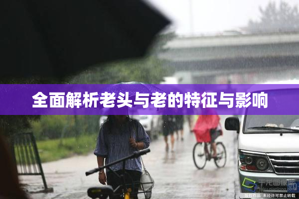 全面解析老头与老的特征与影响