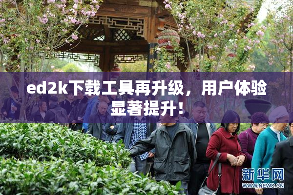 ed2k下载工具再升级，用户体验显著提升！