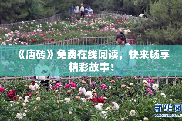 《唐砖》免费在线阅读，快来畅享精彩故事！
