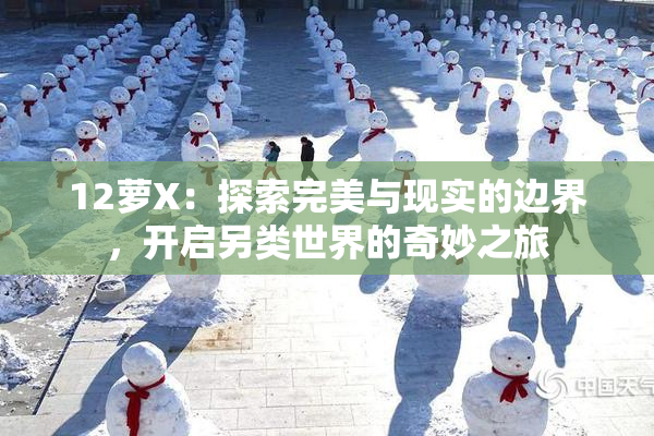 12萝X：探索完美与现实的边界，开启另类世界的奇妙之旅