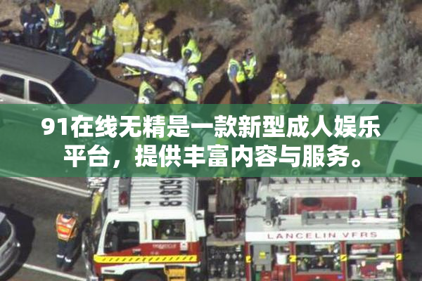 91在线无精是一款新型成人娱乐平台，提供丰富内容与服务。