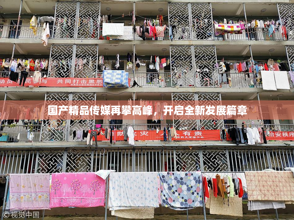 国产精品传媒再攀高峰，开启全新发展篇章