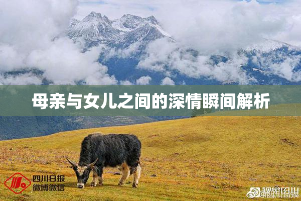母亲与女儿之间的深情瞬间解析