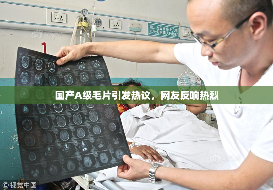 国产A级毛片引发热议，网友反响热烈