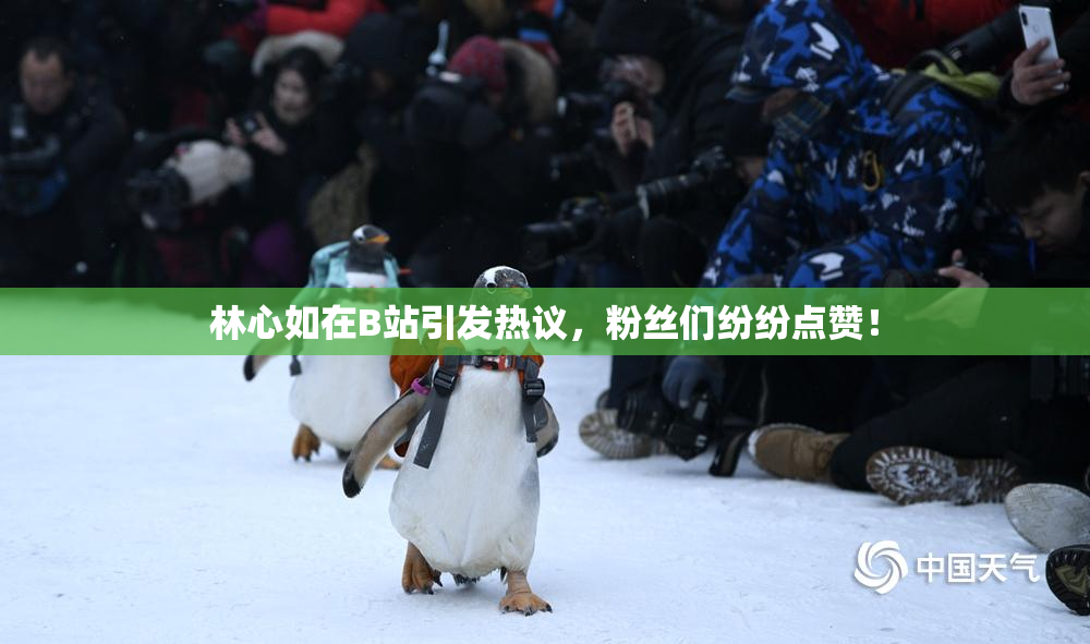 林心如在B站引发热议，粉丝们纷纷点赞！