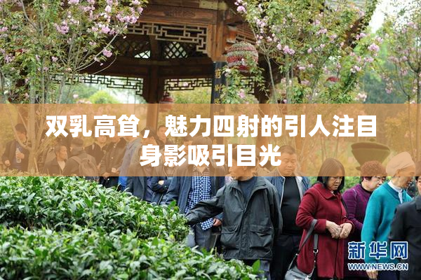 双乳高耸，魅力四射的引人注目身影吸引目光