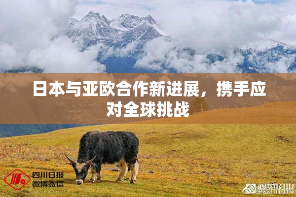 日本与亚欧合作新进展，携手应对全球挑战