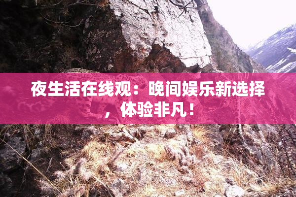 夜生活在线观：晚间娱乐新选择，体验非凡！